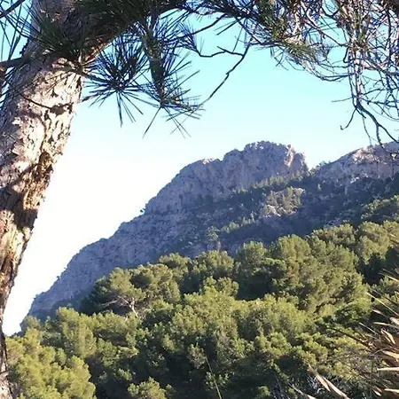 Front In Cala Marsal With The Sea View !